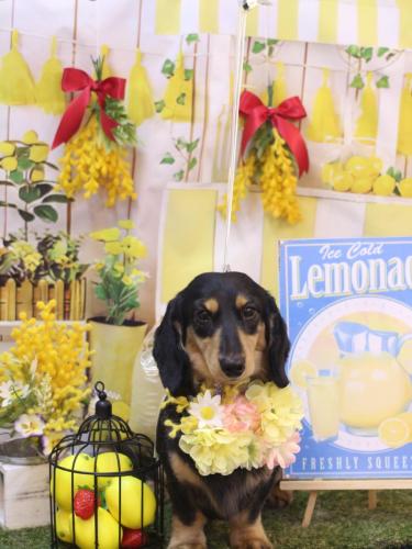 20240423おうたくん 